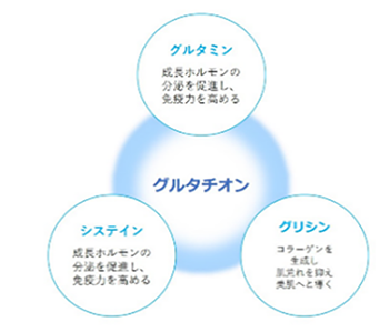 主成分「グルタチオン」の特徴